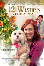 Watch 12 Wishes of Christmas Putlocker