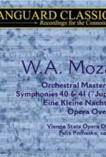 Watch Whiteforce Putlocker