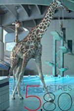 Watch 580 mètres Putlocker