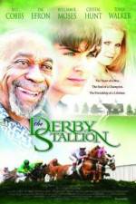 Watch The Derby Stallion Putlocker