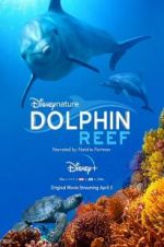 Watch Dolphin Reef Putlocker