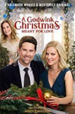 Watch A Godwink Christmas: Meant for Love Putlocker