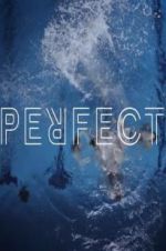 Watch Perfect Putlocker