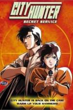 Watch City Hunter Secret Service Putlocker