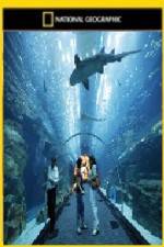 Watch National Geographic Megastructures Dubai Mega Mall Putlocker