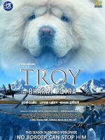 Watch Troy the Bharat Putra Putlocker
