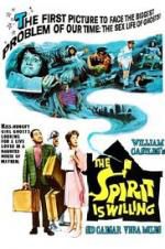 Watch The Spirit Is Willing Putlocker