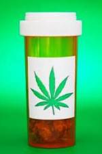 Watch Medicinal Cannabis and its Impact on Human Health Putlocker