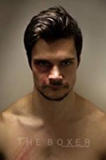 Watch The Boxer Putlocker