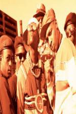 Watch Public Enemy: Prophets Of Rage Putlocker