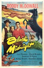 Watch Black Midnight Putlocker