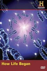 Watch How Life Began Putlocker