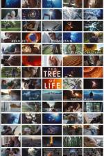 Watch The Tree of Life Putlocker