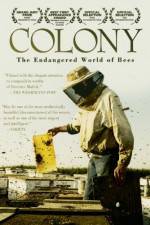 Watch Colony Putlocker