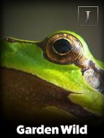 Watch Garden Wild! Putlocker