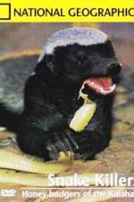Watch National Geographic: Snake Killers Honey Badgers Of The Kalahari Putlocker