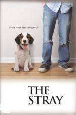 Watch The Stray Putlocker