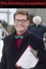 Watch The Christmas Consultant Putlocker