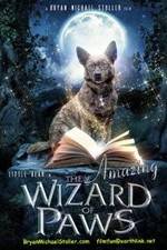 Watch The Amazing Wizard of Paws Putlocker