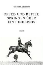 Watch Pferd und Reiter Springen über ein Hindernis Putlocker