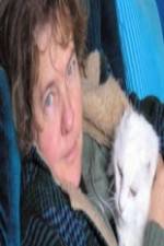 Watch Ciao Meow Putlocker