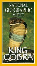 Watch King Cobra Putlocker