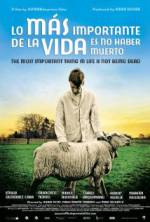 Watch The Most Important Thing in Life Is Not Being Dead Putlocker