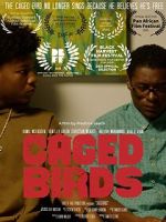 Watch Caged Birds Putlocker