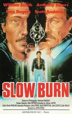 Watch Slow Burn Putlocker