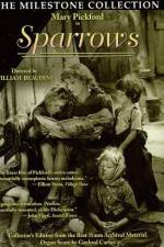 Watch Sparrows Putlocker