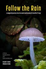 Watch Follow the Rain Putlocker