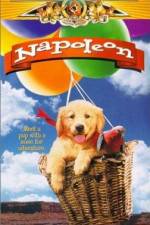 Watch Napoleon Putlocker