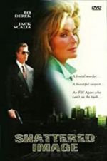 Watch Shattered Image Putlocker