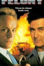 Watch Felony Putlocker