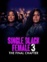 Watch Single Black Female 3: The Final Chapter Putlocker