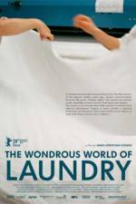 Watch The Laundromat Putlocker