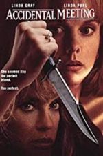 Watch Accidental Meeting Putlocker