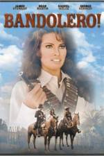 Watch Bandolero! Putlocker