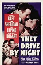 Watch They Drive by Night Putlocker