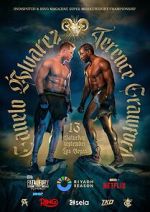 Watch Canelo Álvarez vs. Terence Crawford (TV Special 2025) Putlocker