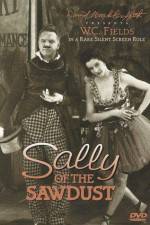Watch Sally of the Sawdust Putlocker