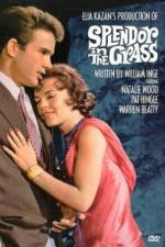 Watch Splendor in the Grass Putlocker