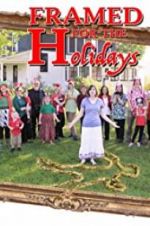 Watch Framed for the Holidays Putlocker
