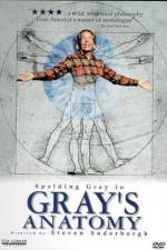 Watch Gray's Anatomy Putlocker