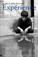 Watch The Experience Putlocker