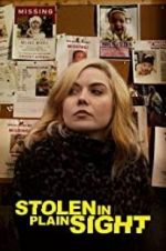 Watch Stolen in Plain Sight Putlocker