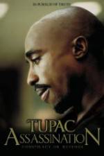 Watch Assassination: Conspiracy or Revenge Putlocker