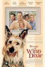 Watch Because of Winn-Dixie Putlocker