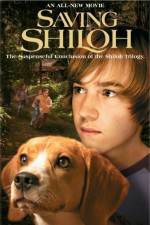 Watch Saving Shiloh Putlocker