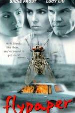 Watch Flypaper Putlocker